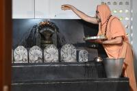 Jalabhisheka at Nagalaya (22 Sep 2025 ) Pictures Courtesy of Shri Dinesh Karkal